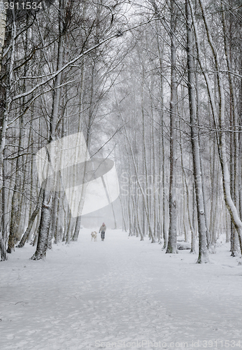 Image of Woman with a dog on a snowy winter alley