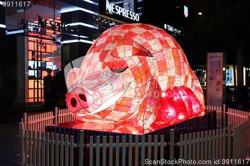 Image of Chinese New Year Zodiac - The Pig