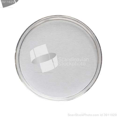 Image of Petri dish for cell culture