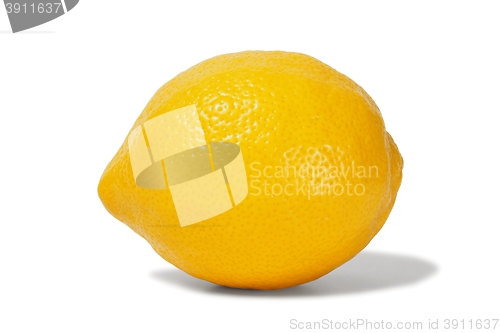 Image of Lemon on white