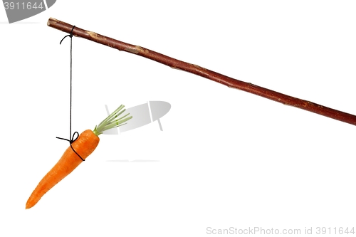 Image of Carrot and stick