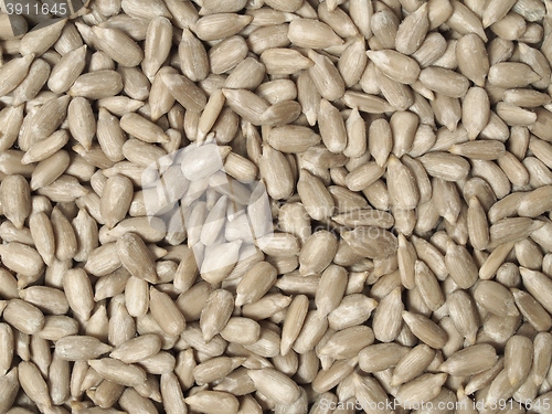 Image of Sunflower seeds background