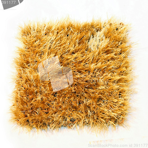 Image of Carpet 4