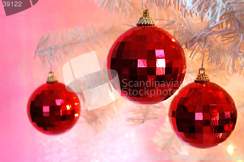 Image of Christmas Tree