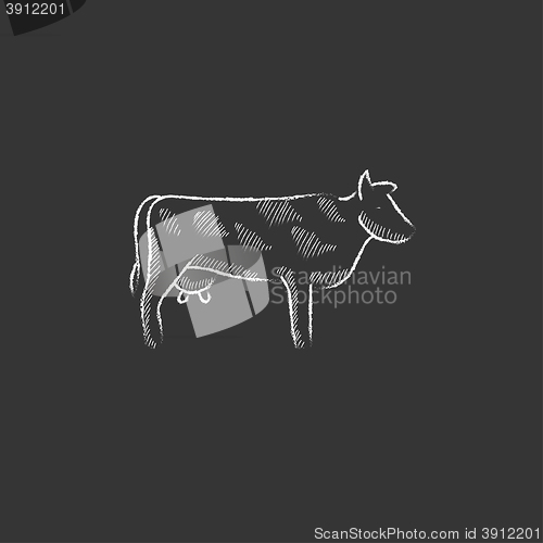 Image of Cow. Drawn in chalk icon.