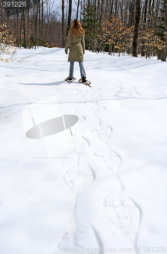 Image of Woman walking in snow shoes in the forest