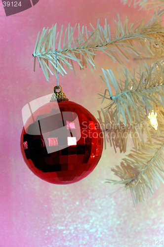 Image of Christmas Tree