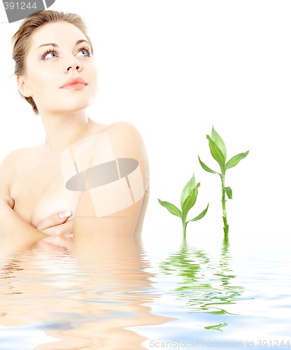 Image of clean lady in water with green plants #2
