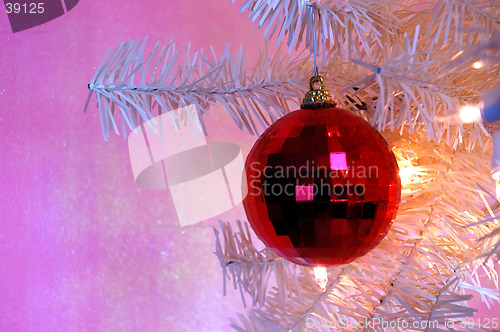 Image of Christmas Tree