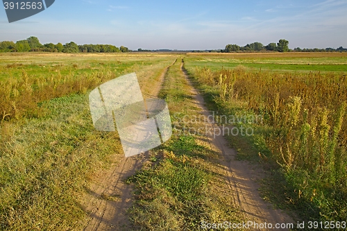 Image of Dirtroad through a field