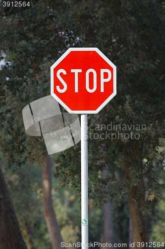 Image of Stop sign closeup