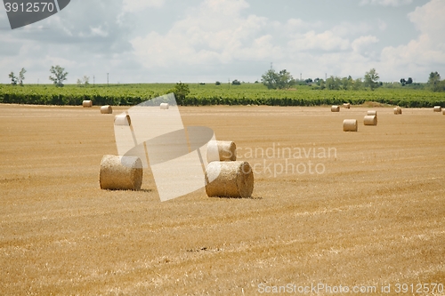 Image of Agricultural field with bales