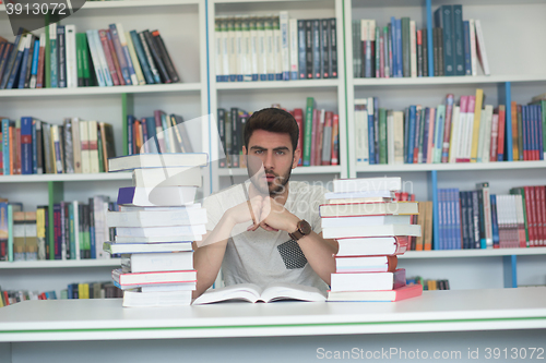 Image of student study  in school library