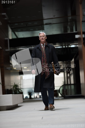 Image of handsome senior business man walking