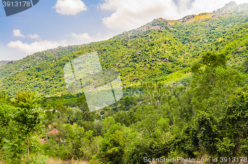 Image of slope of a mountain in Vietnam