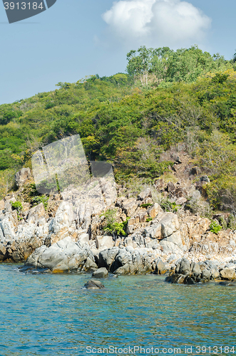 Image of Rocky shore