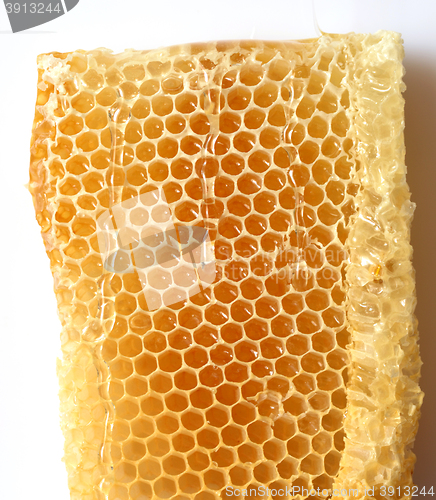 Image of Honeycomb close up