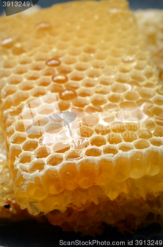 Image of Honeycomb close up