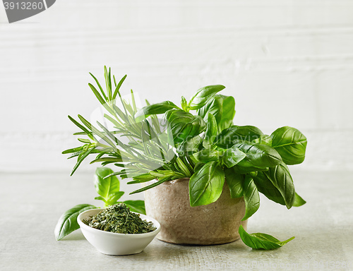 Image of fresh and dried herbs