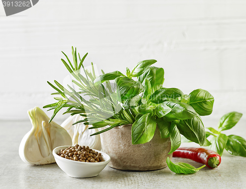 Image of fresh herbs and spices