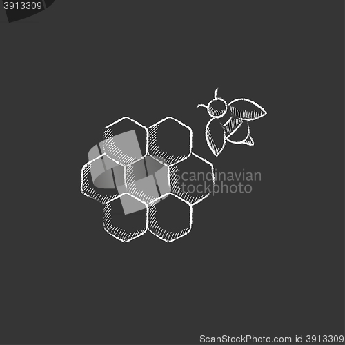 Image of Honeycomb and bee. Drawn in chalk icon.