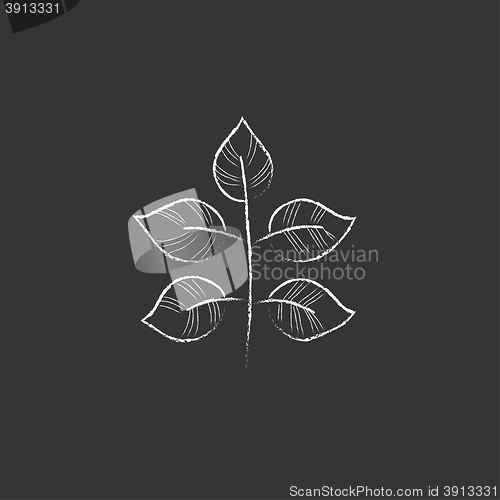 Image of Branch with leaves. Drawn in chalk icon.