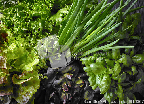 Image of various green vegetables