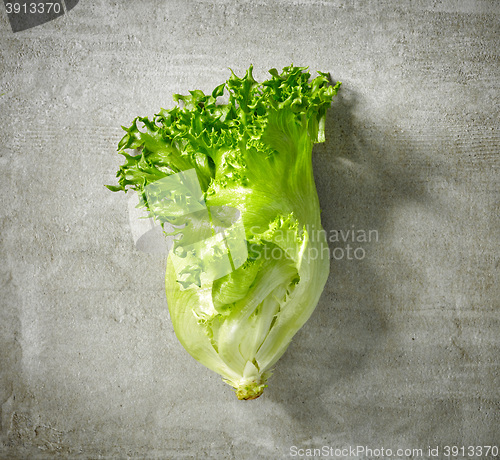 Image of fresh green lettuce 