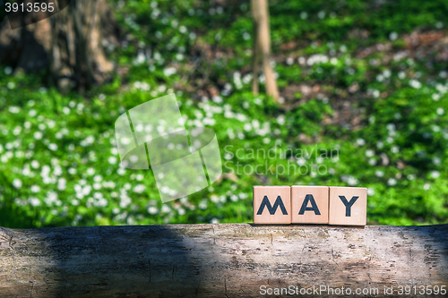 Image of May spring sign in a green garden