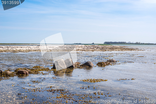 Image of Seashore with rocks in the water