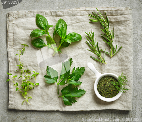 Image of various fresh herbs