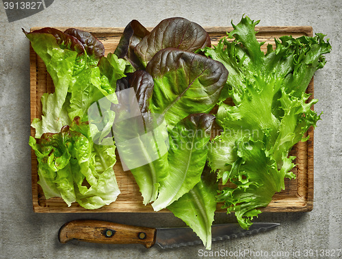 Image of various kinds of lettuce