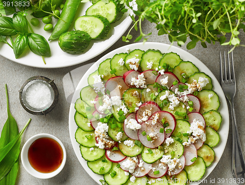 Image of cucumber and radish carpaccio with fresh cheese