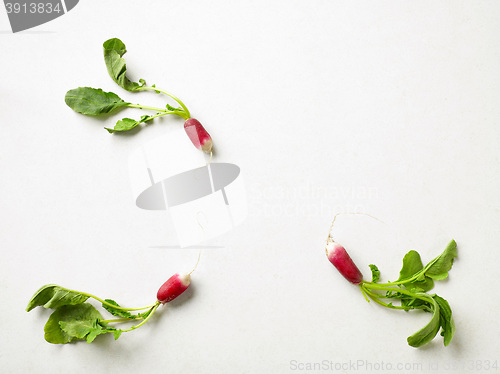 Image of fresh raw radish