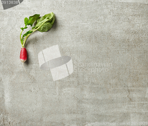 Image of fresh raw radish on gray kitchen table