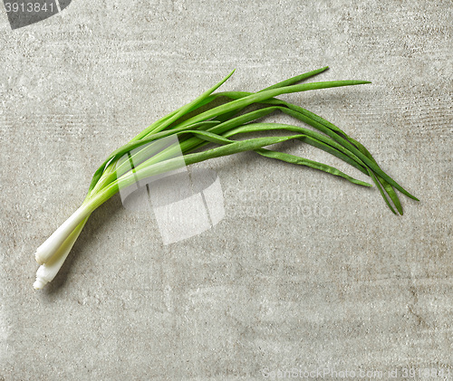 Image of green spring onions on gray stone background