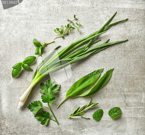 Image of green herbs on gray stone background