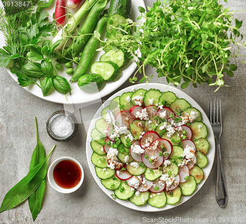 Image of cucumber and radish salad