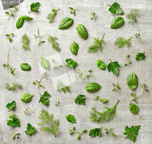 Image of fresh green leaves on gray background