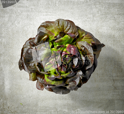 Image of fresh purple lettuce
