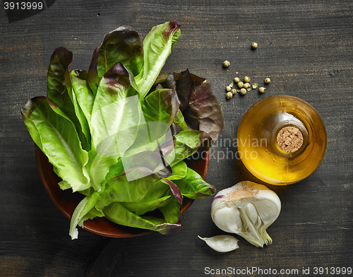 Image of fresh salad ingredients