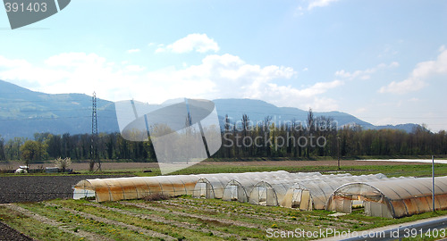 Image of landscape greenhouse