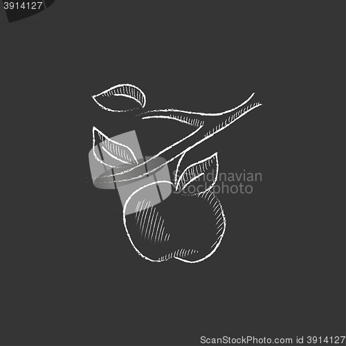 Image of Apple harvest. Drawn in chalk icon.