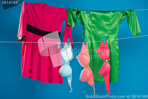 Image of lingerie and skirts hanging on a clothesline 