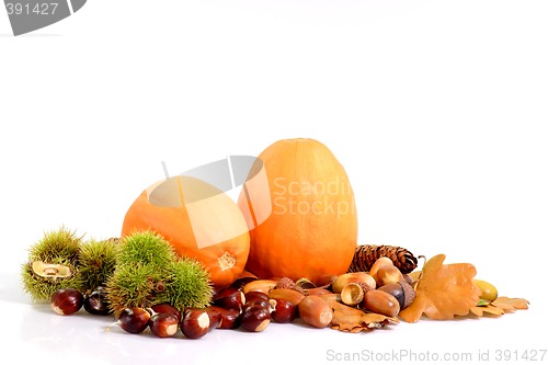 Image of Harvest Decoration