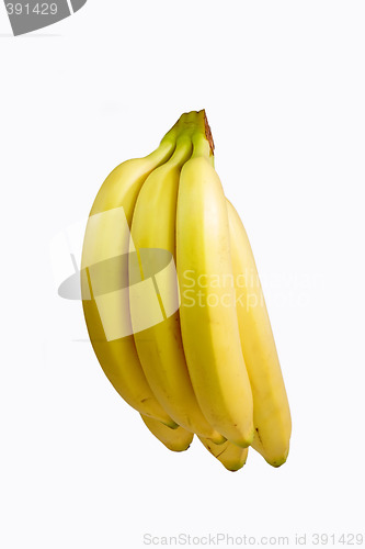 Image of Healthy Bananas