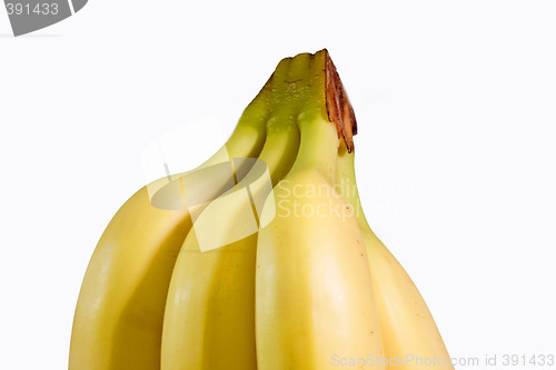 Image of Ripe Bananas