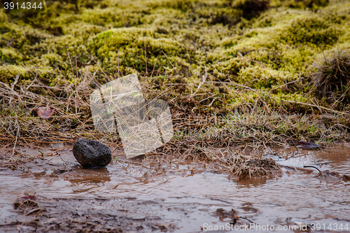 Image of Lava rock in a stream