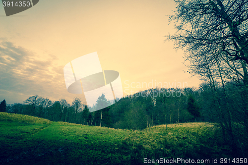 Image of Green fields by a forest