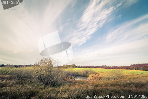 Image of Green field landscape in autumn